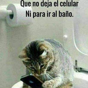 Meet your Posher, German